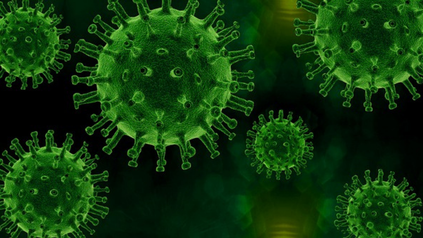 covid virus